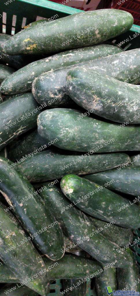 Pepino cohombro