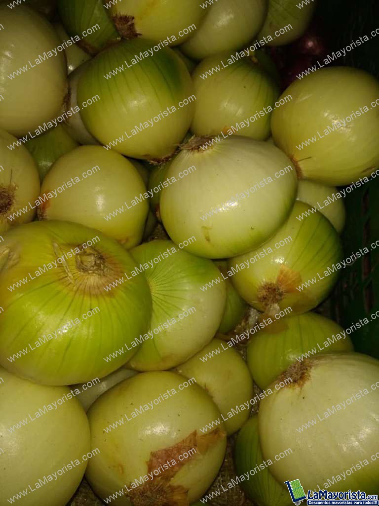 Cebolla de huevo blanca