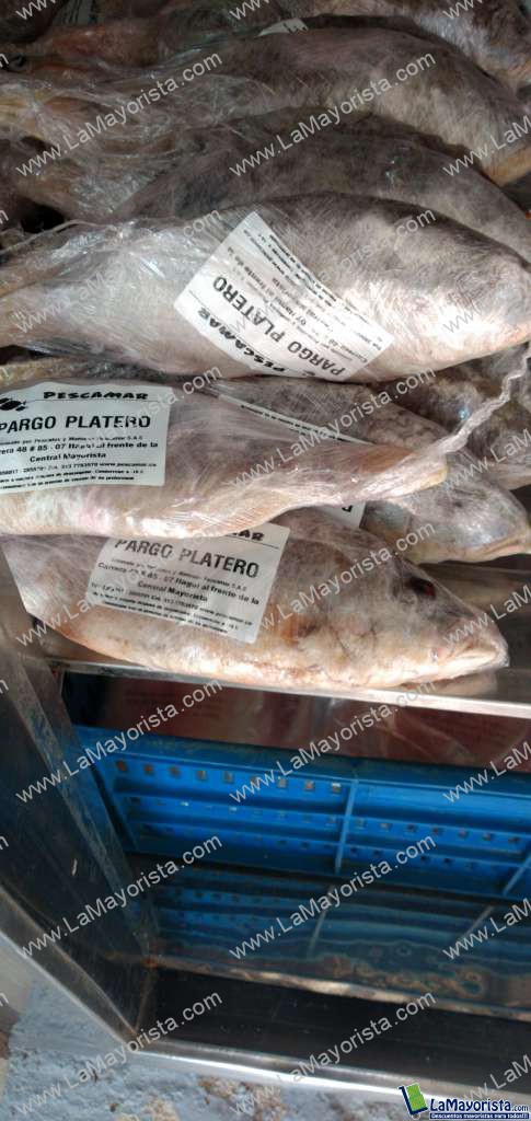 Pargo platero