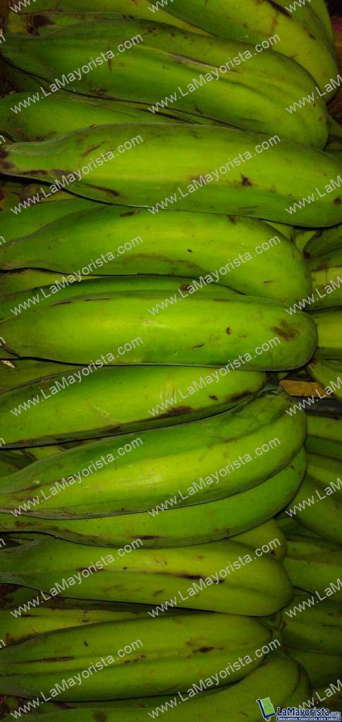 Platano verde