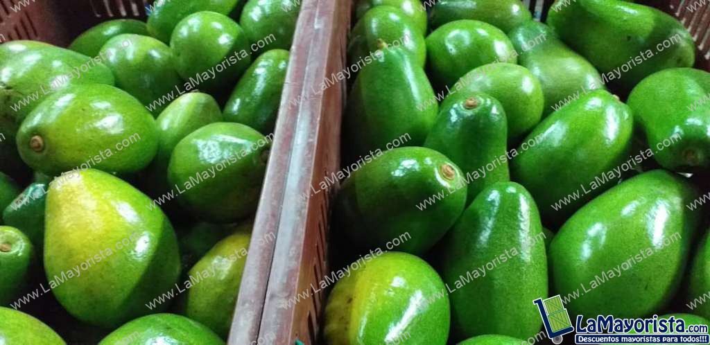 Aguacate papelillo