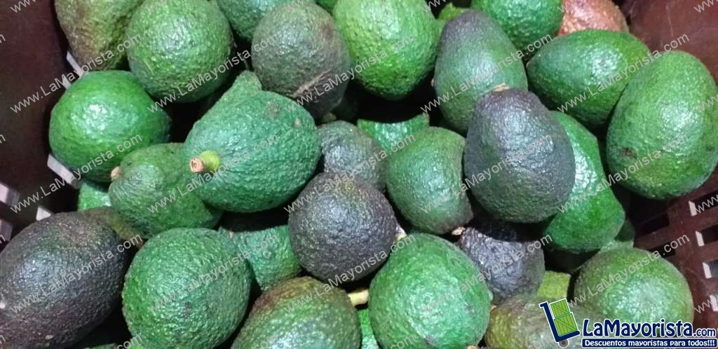 Aguacate hass