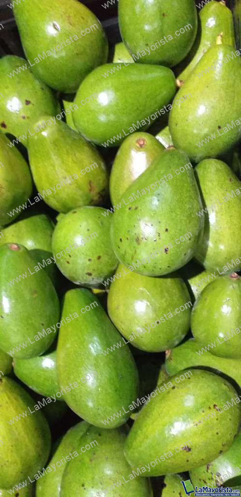 Aguacate papelillo