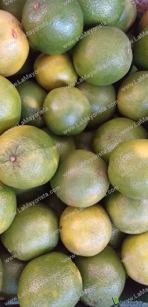 Naranja valencia