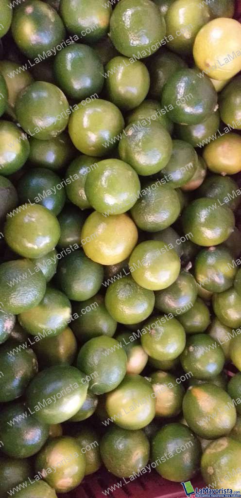 Limon tahiti