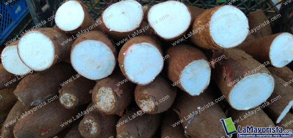 Yuca