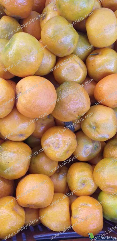 Mandarina oneca