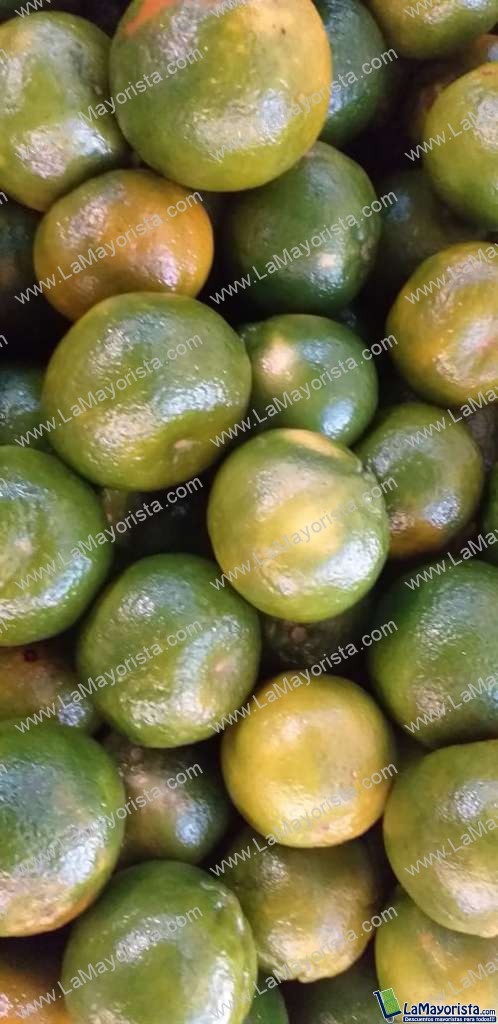 Mandarina de primera