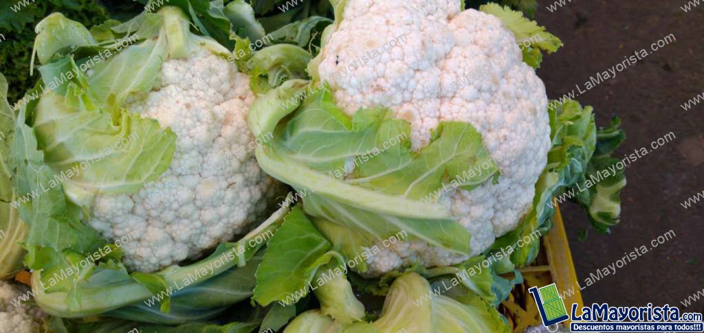 Coliflor