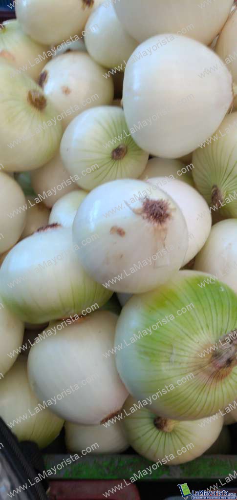 Cebolla blanca
