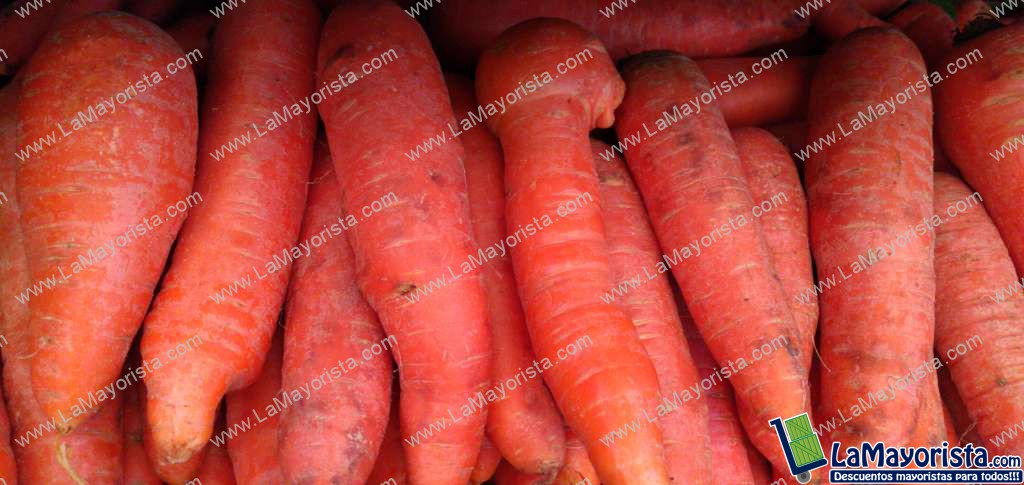 Zanahoria