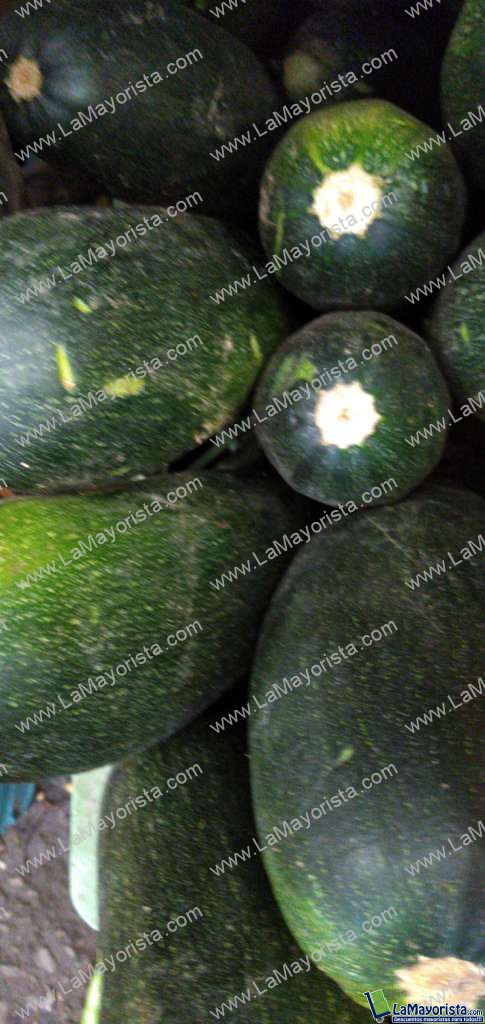 Zucchini