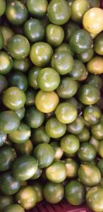 Limon tahiti