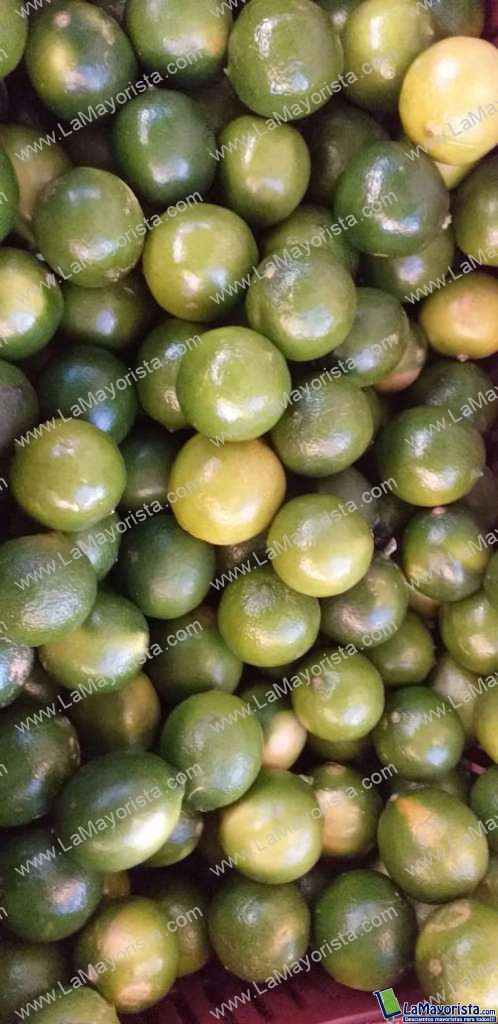 Limon tahiti
