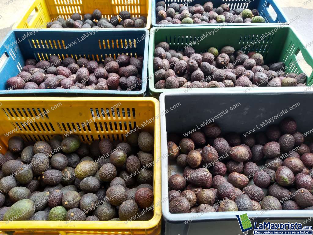 aguacate hass