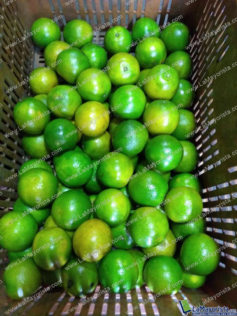 Naranja de primera
