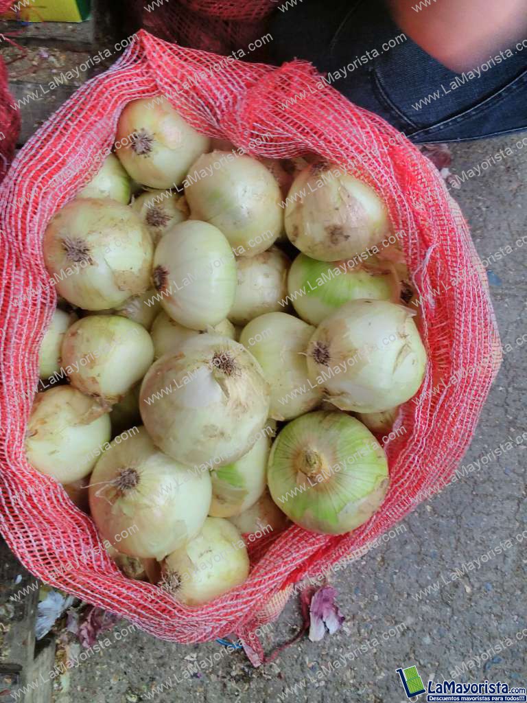cebolla blanca
