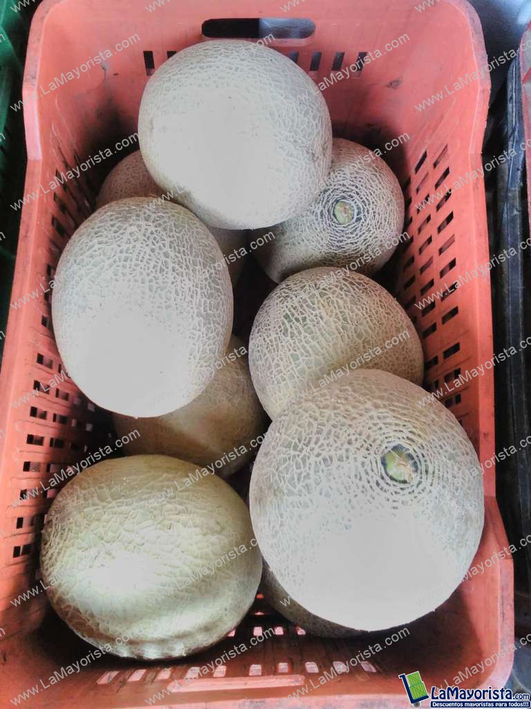melon