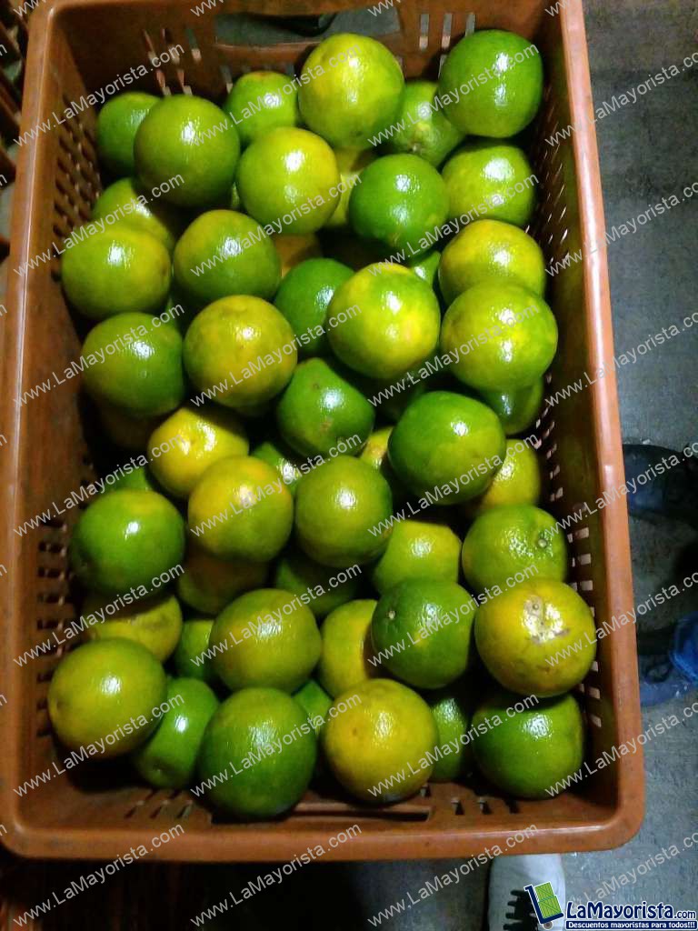Naranja de primera