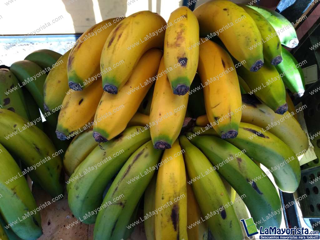 Banano criollo