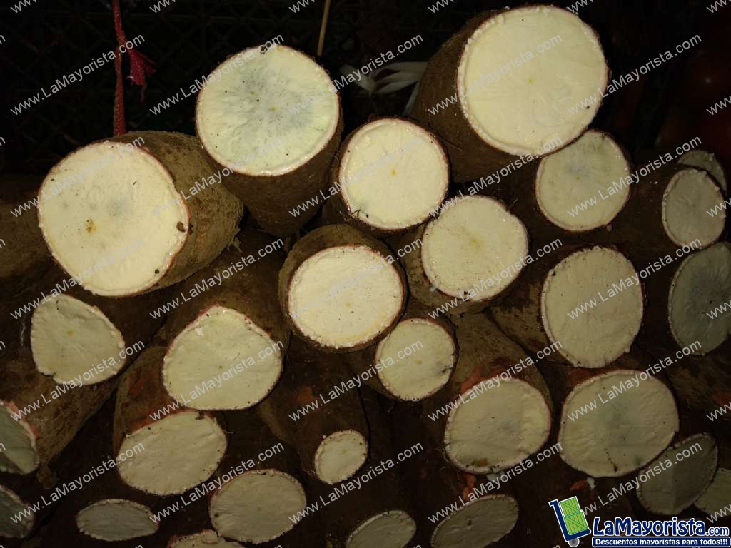 Yuca