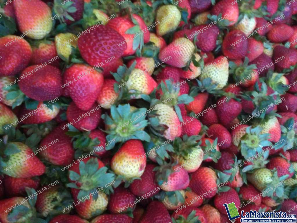 Fresas de primera