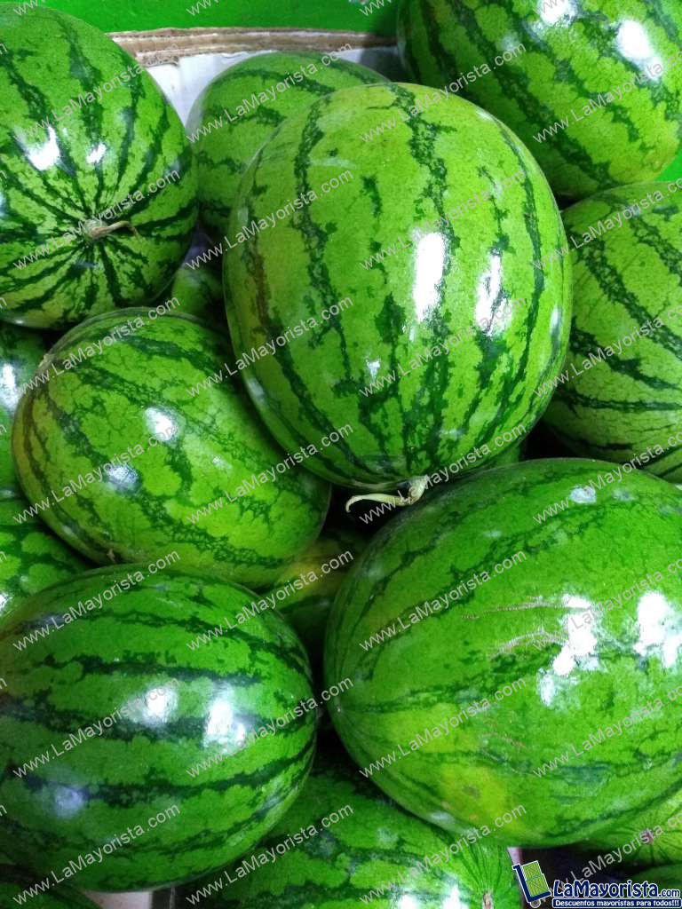 sandia