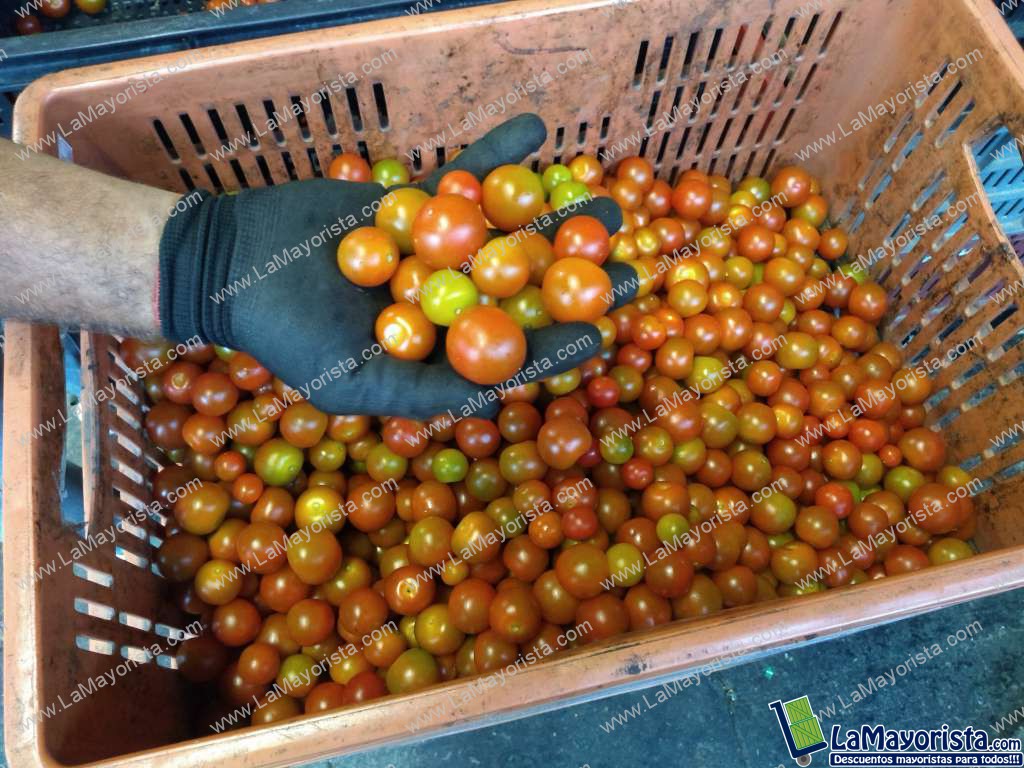 Tomate Cherry