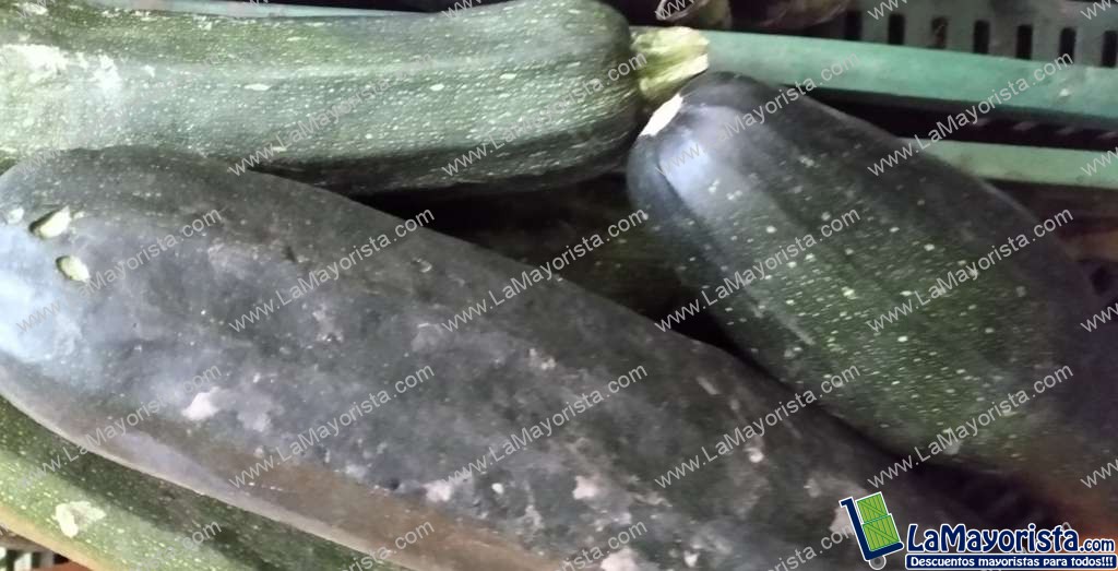 Zucchini