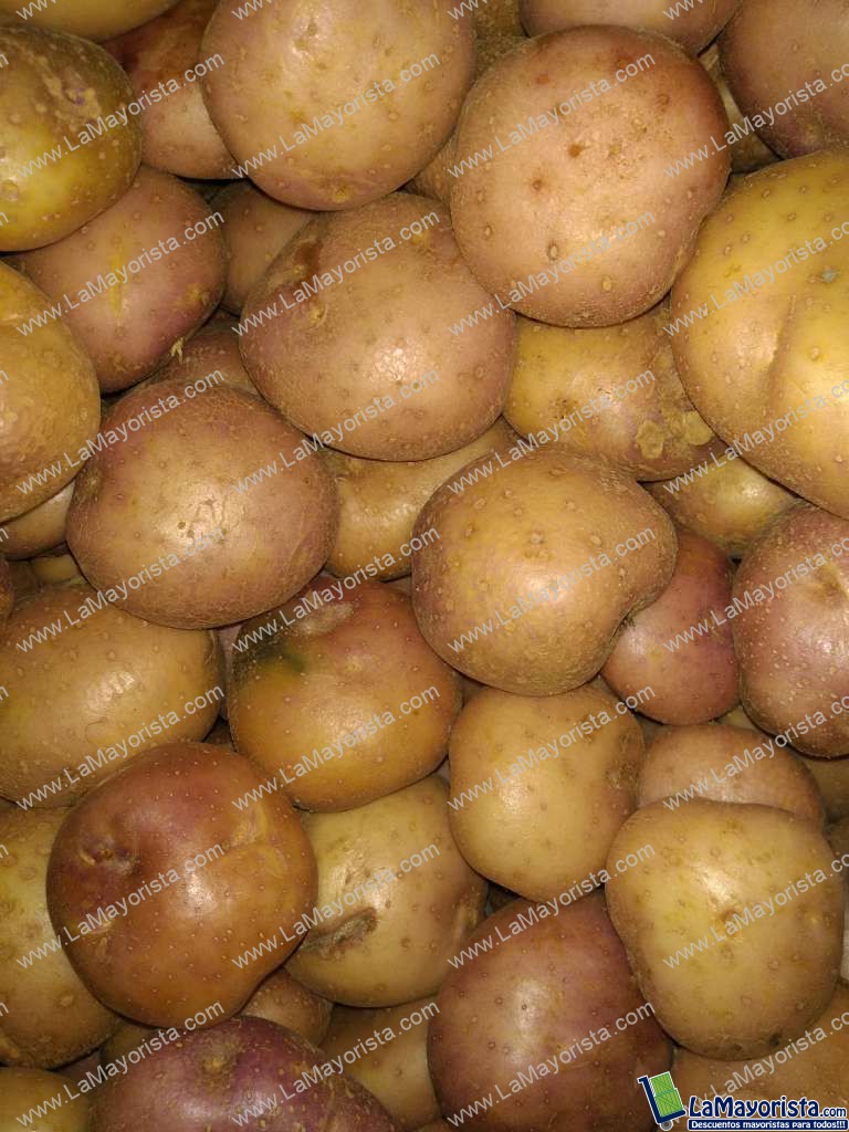 Papá capira
