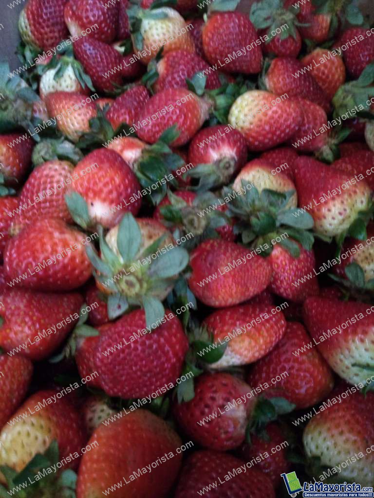 fresas de primera
