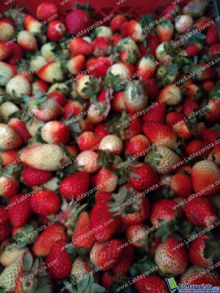 fresas de segunda