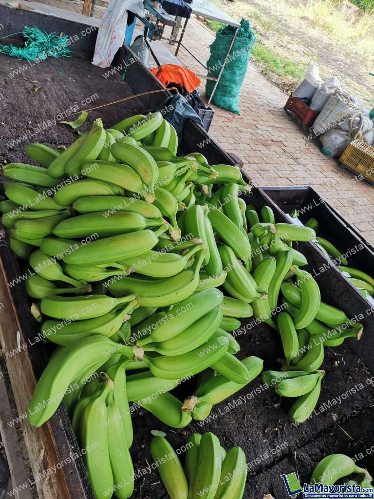 Plátano guayabo o comino