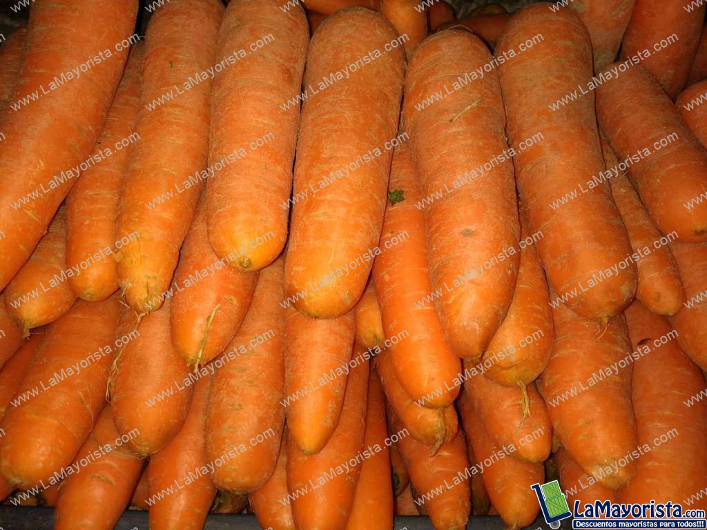 Zanahoria