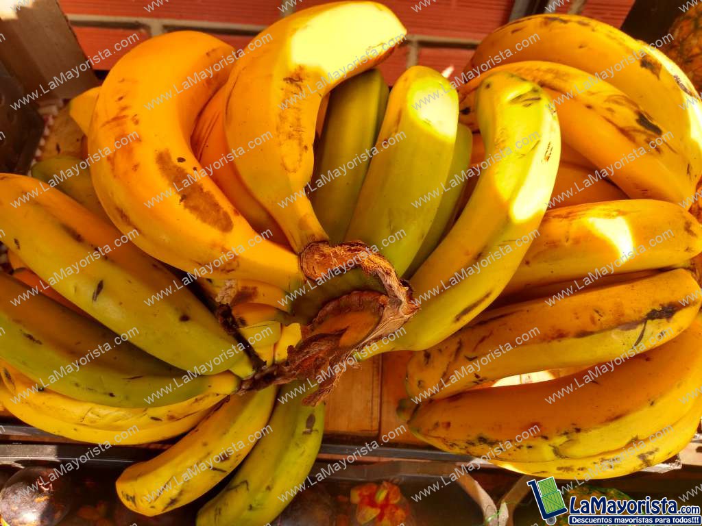 Banano criollo