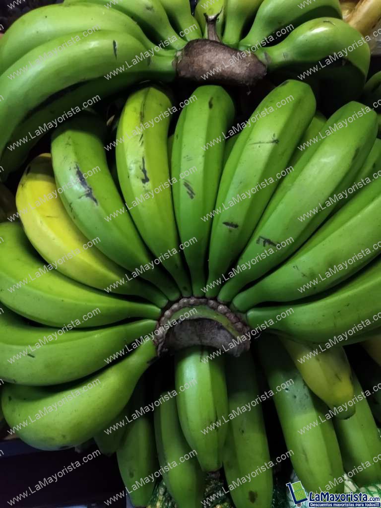 Banano criollo