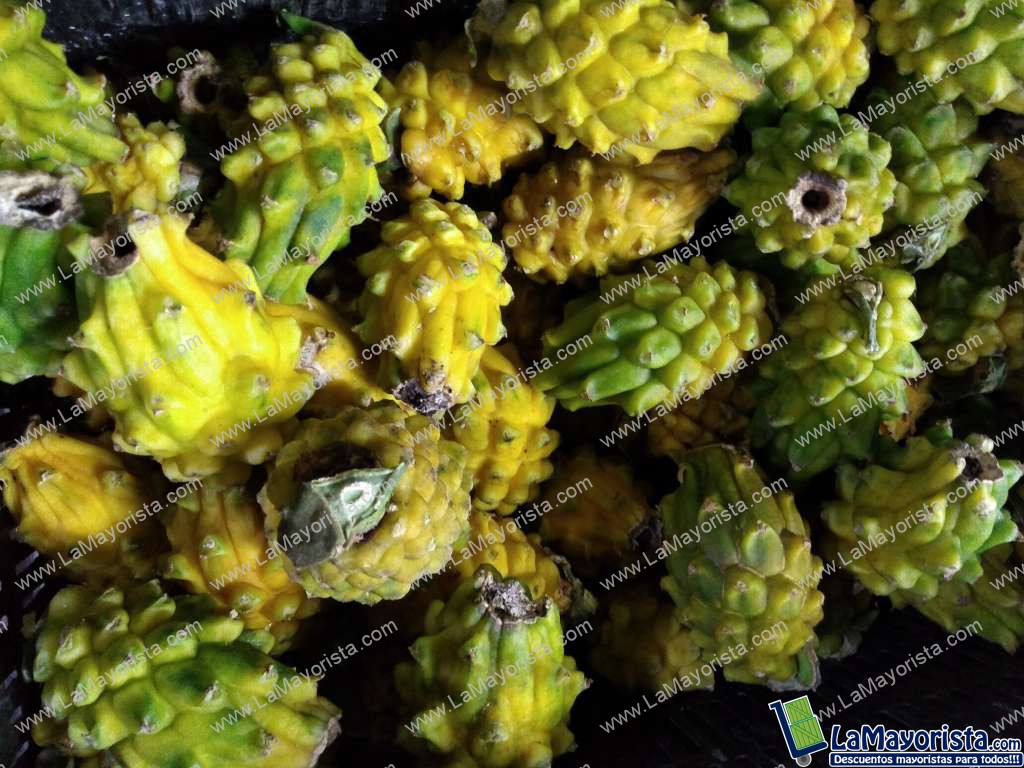 Pitaya