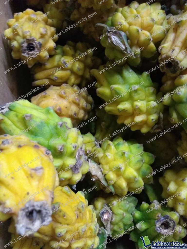 Pitaya