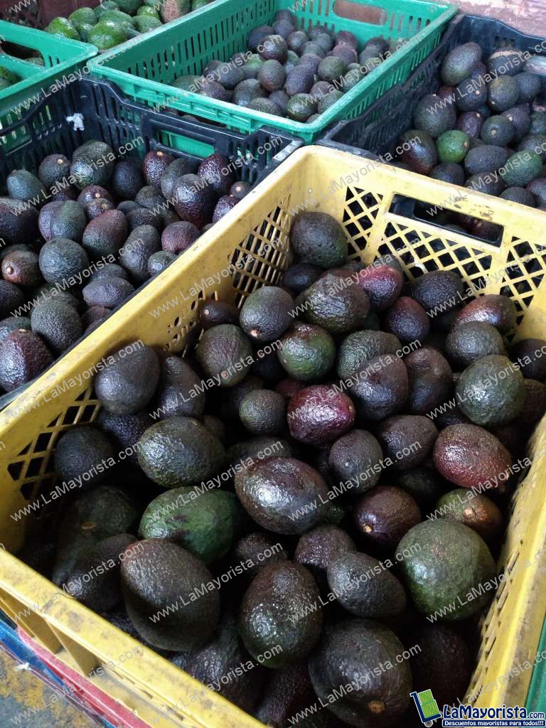 Aguacate hass