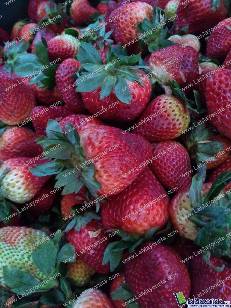 Fresas de 1ra