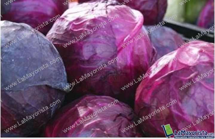 Repollo morado