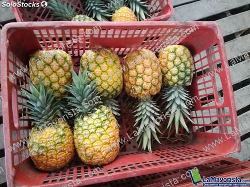Piña oro miel
