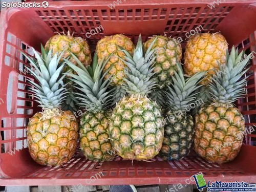 Piña oro miel