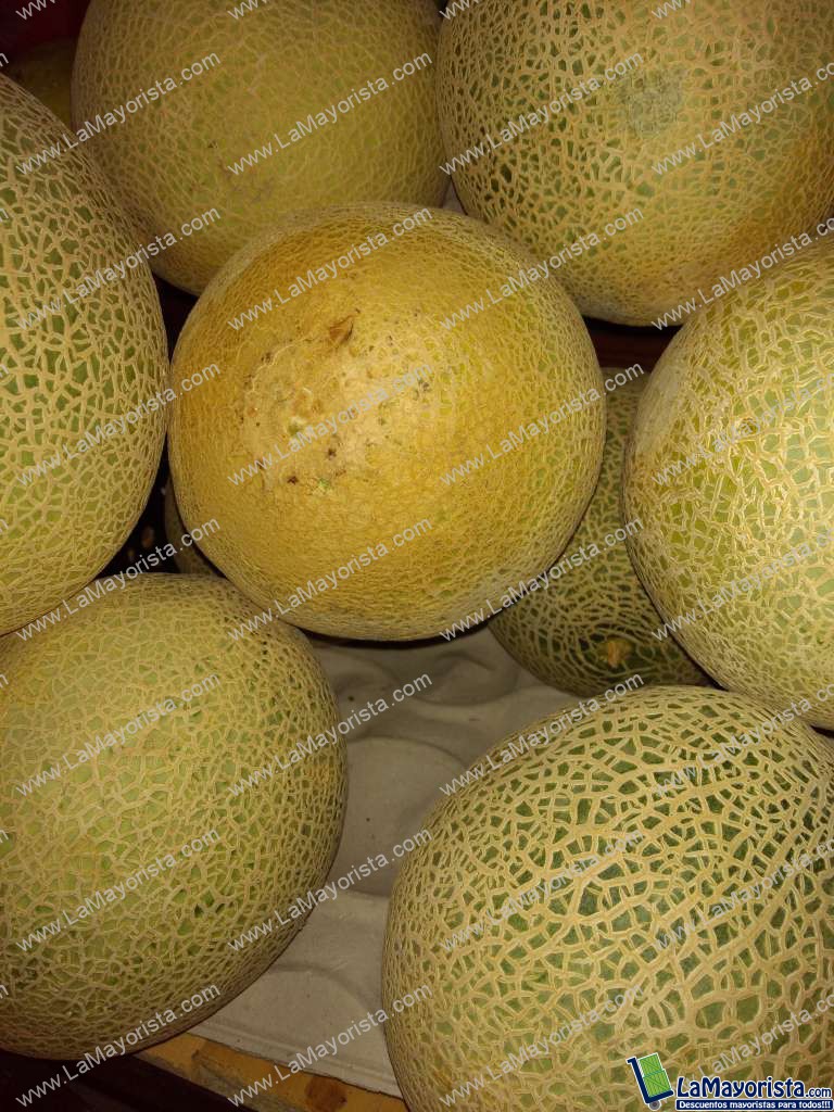 Melon
