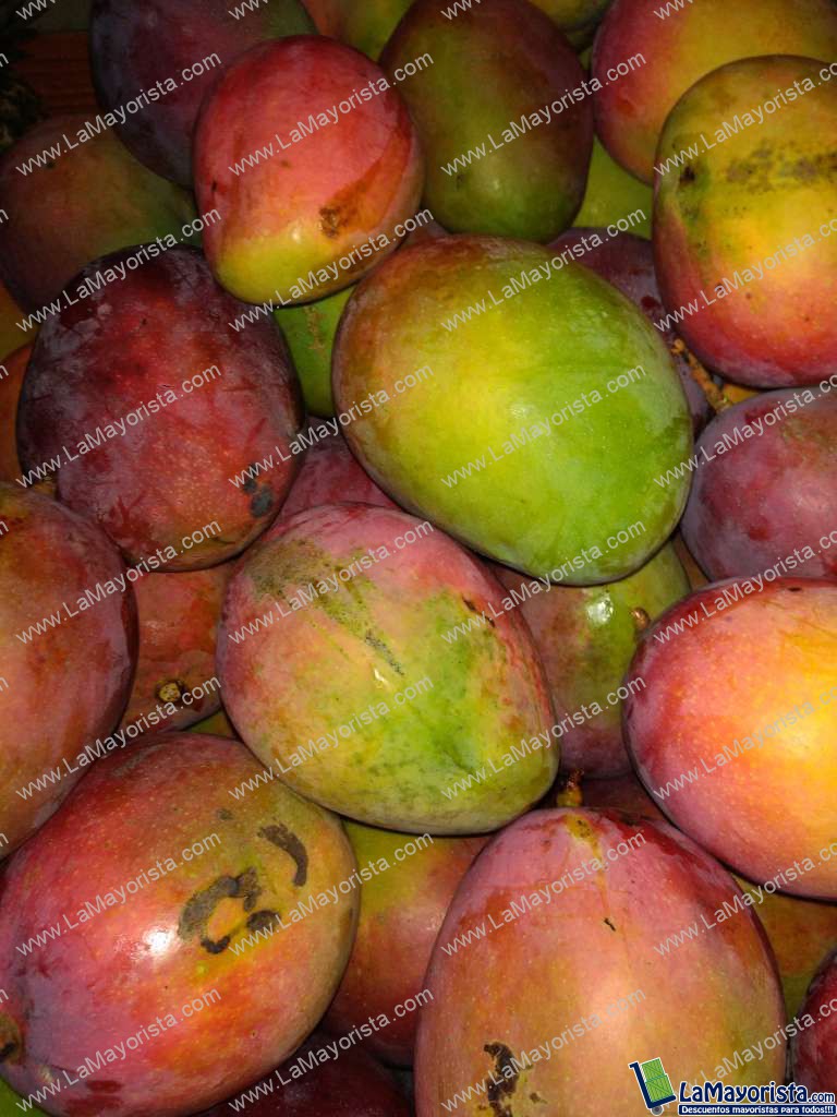 Mango tommy