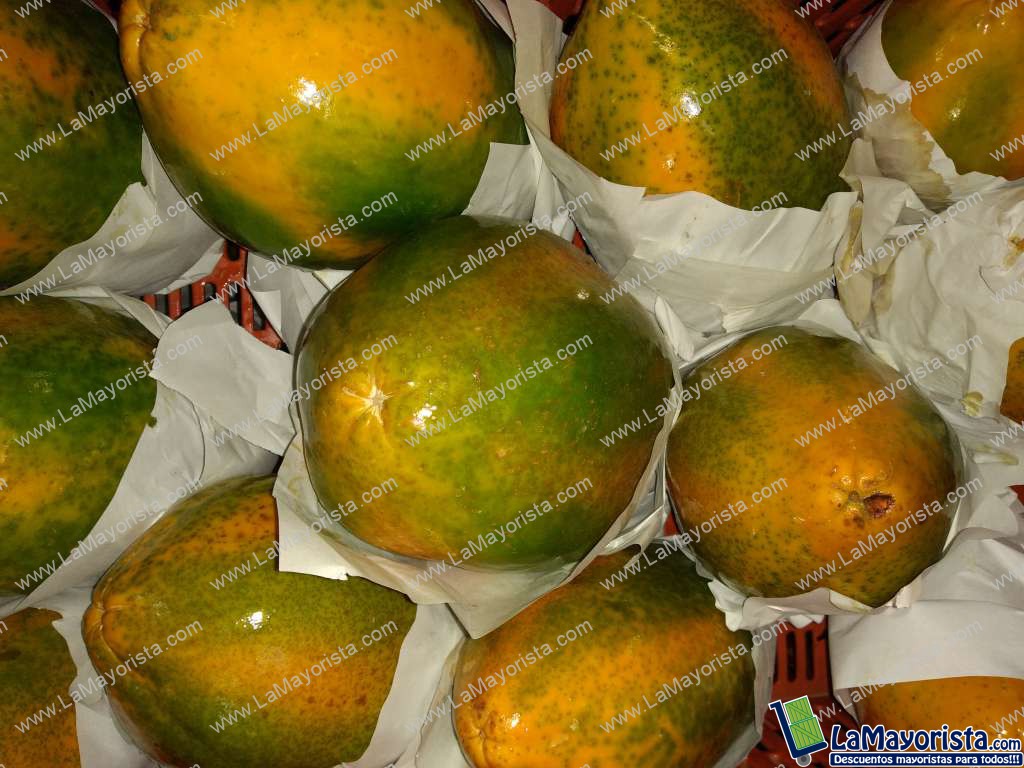 Papaya maradol