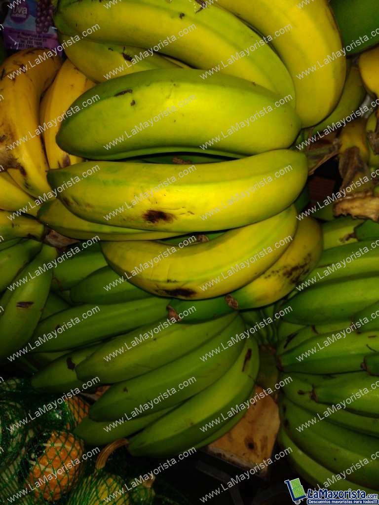 Banano criollo