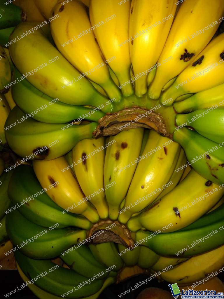 Banano criollo
