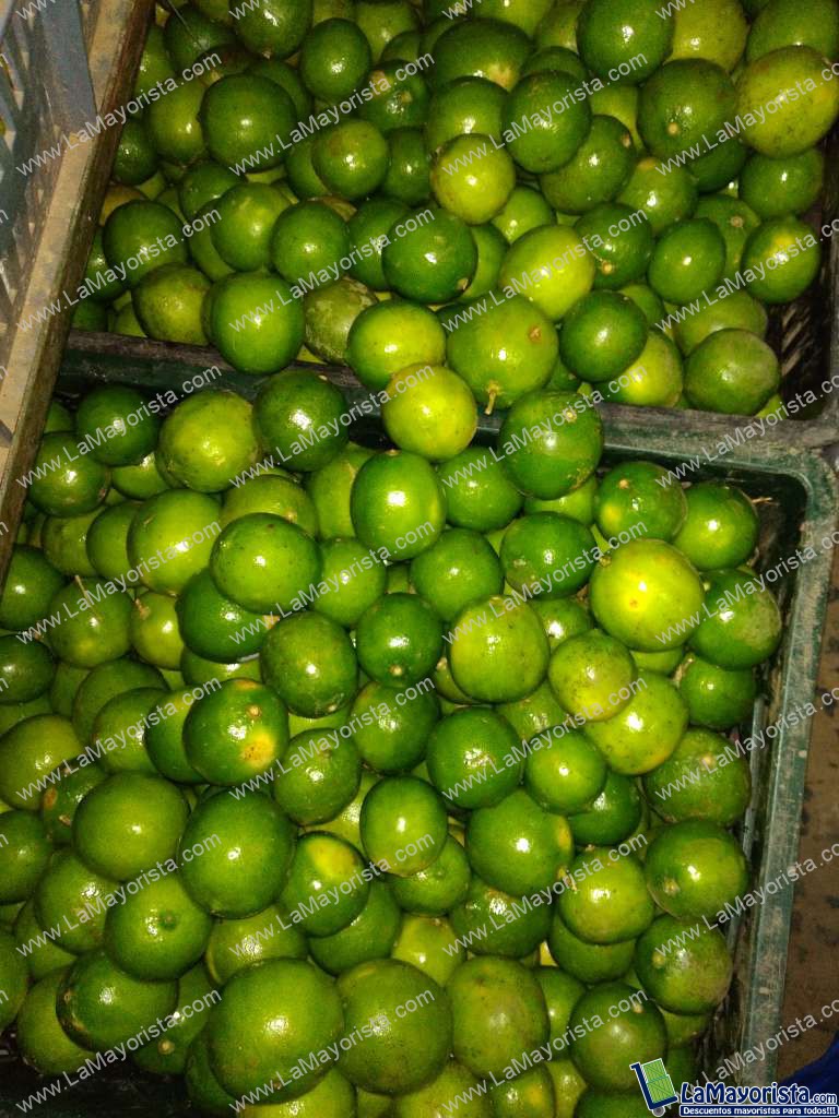 Limon tahiti