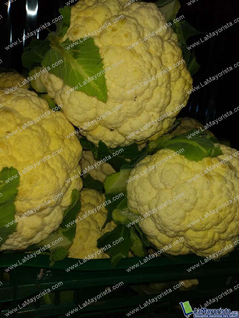 Coliflor